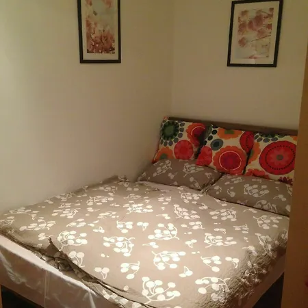 Gazde/Camere de închiriat Pauler19 *