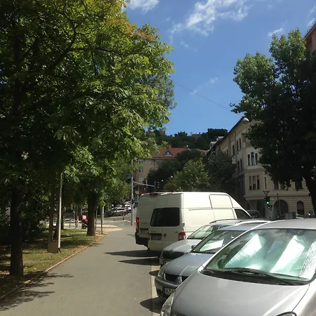 Pauler19 * Budapesta