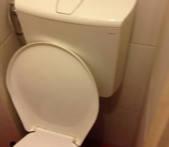 Pauler19 Quarto em Acomodações Particulares